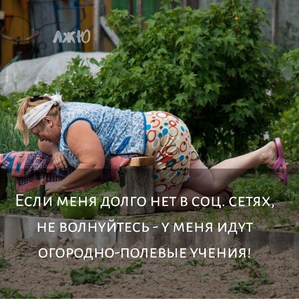 Смешные картинки про огород с надписями для поднятия настроения
